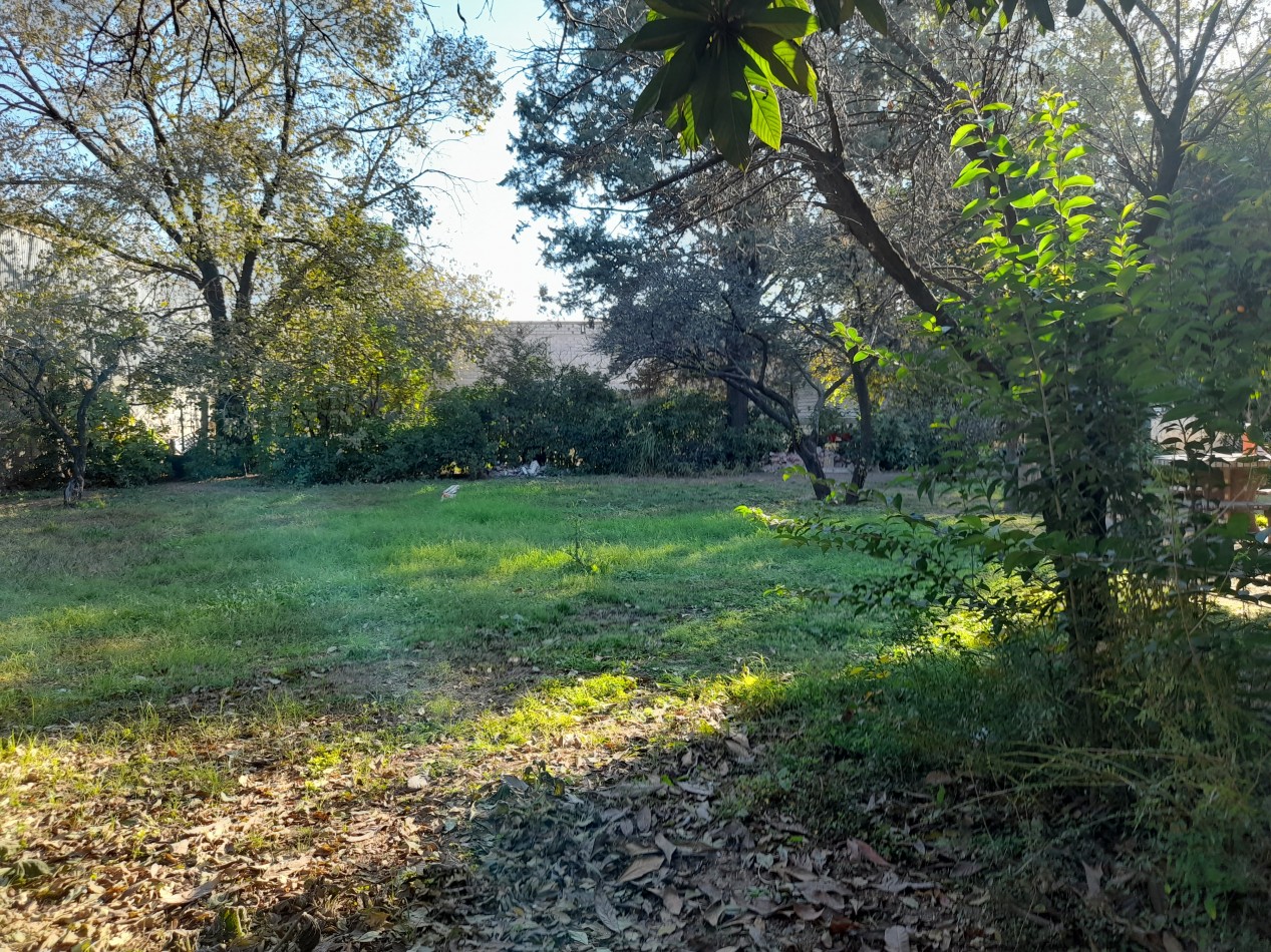 ESTACION FLORES: A METROS CIRCUNVALACION VENDO 2 LOTES DE 250 M2 C/U (INDIVIDUALMENTE O EL PAR)
