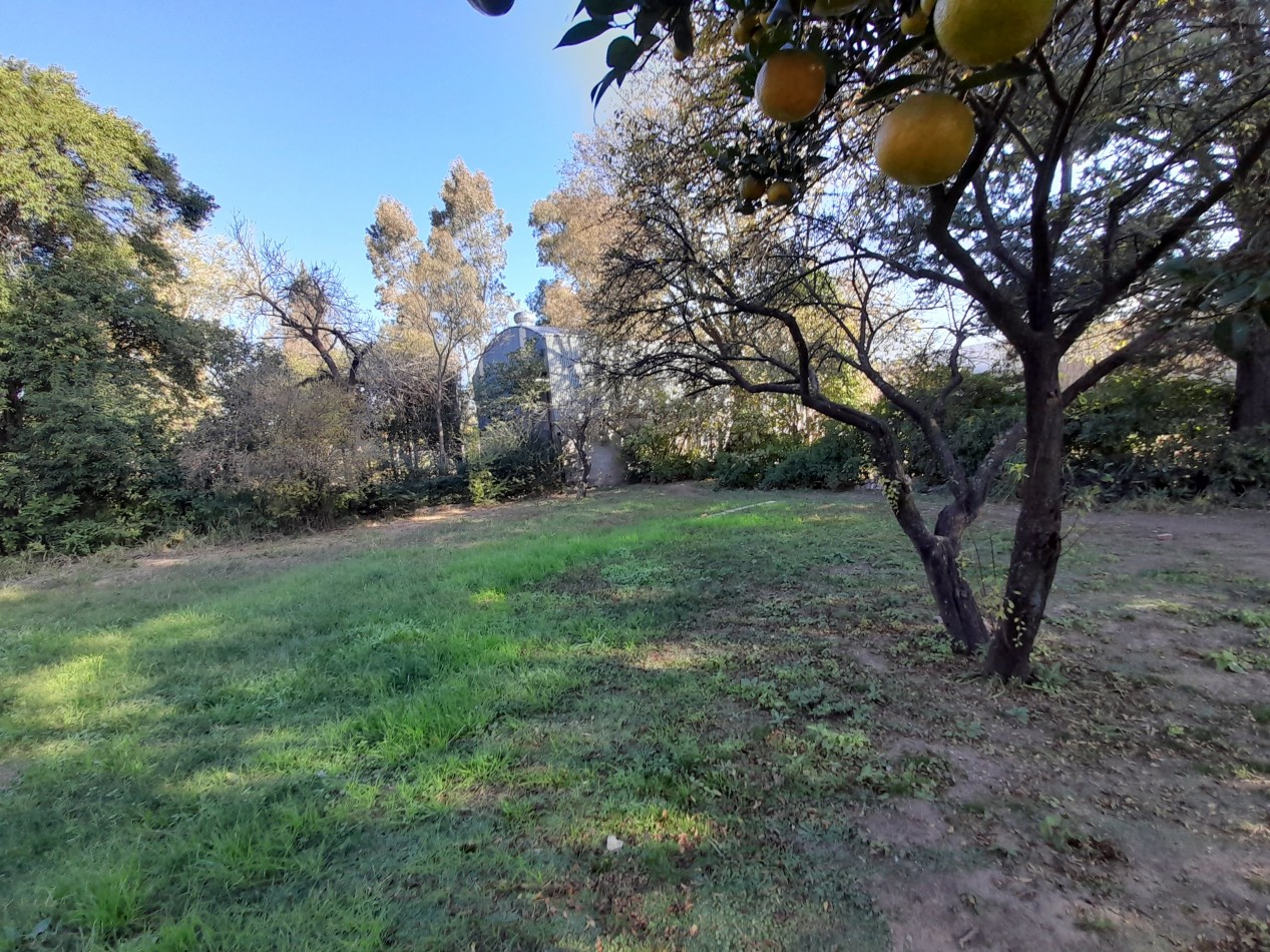 ESTACION FLORES: A METROS CIRCUNVALACION VENDO 2 LOTES DE 250 M2 C/U (INDIVIDUALMENTE O EL PAR)
