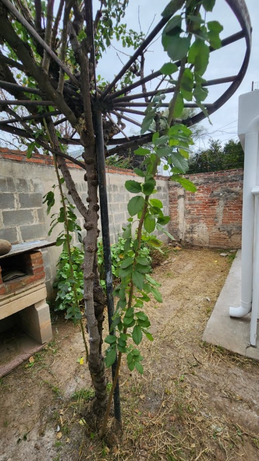 B° VILLA ADELA: ALQUILO HERMOSO DEPTO DE 1 DORMITORIO CON PATIO